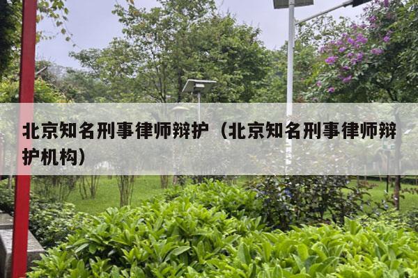 北京知名刑事律师辩护（北京知名刑事律师辩护机构）