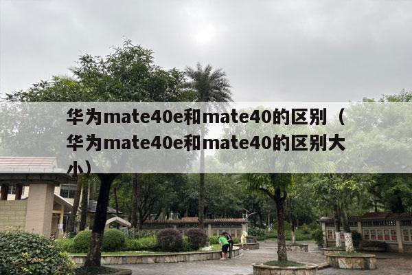 华为mate40e和mate40的区别（华为mate40e和mate40的区别大小）