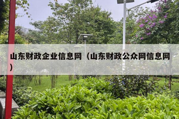 山东财政企业信息网（山东财政公众网信息网）