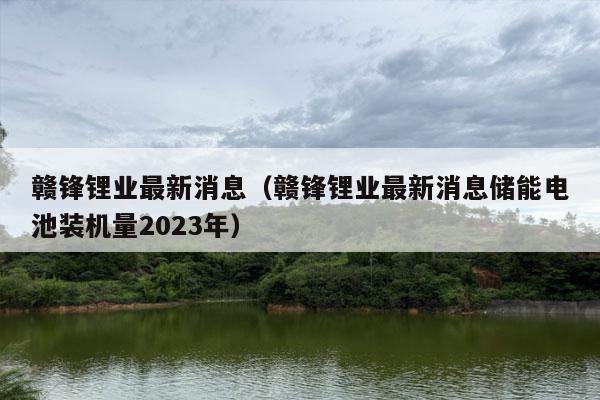 赣锋锂业最新消息（赣锋锂业最新消息储能电池装机量2023年）